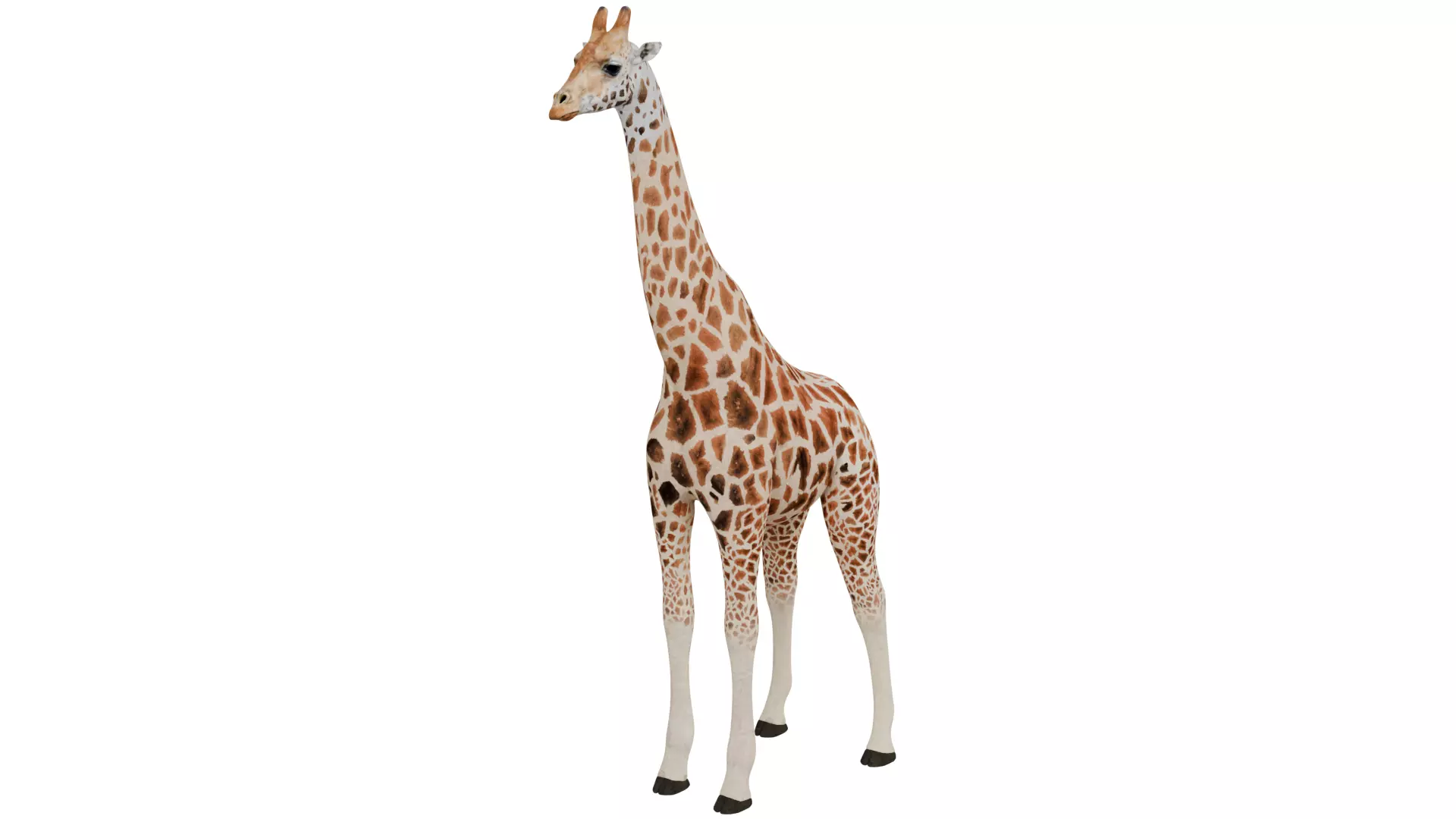 Giraffe 3D model_0