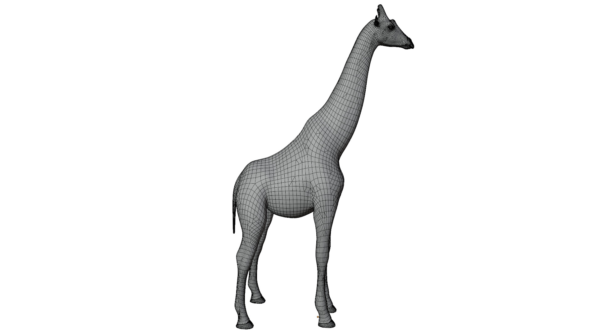 Giraffe 3D model_14