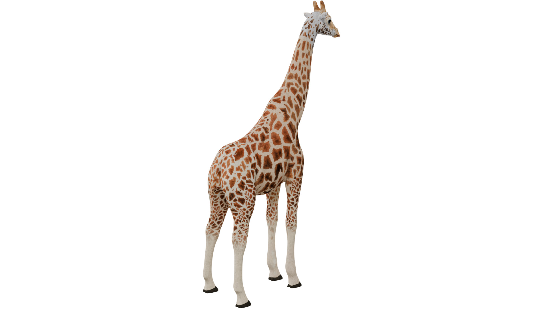 Giraffe 3D model_4