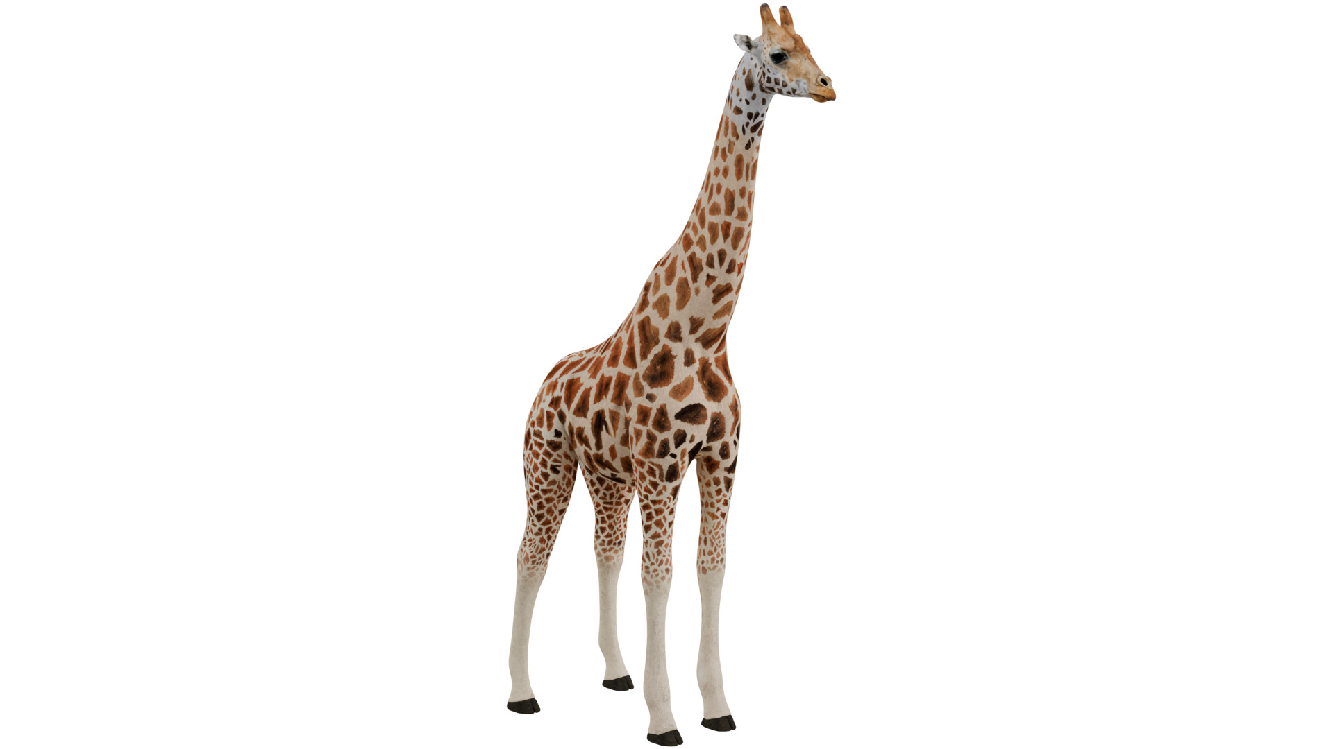 Giraffe 3D model_6