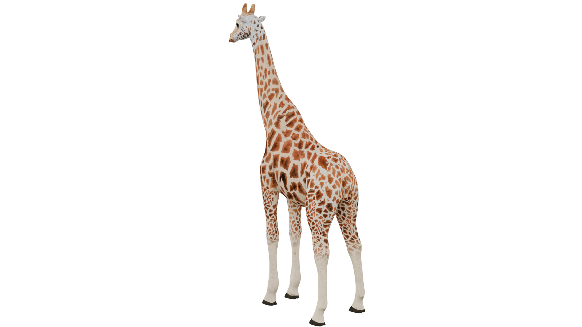 Giraffe 3D model_2