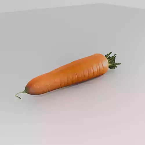 Realistic 3D Carrot Model