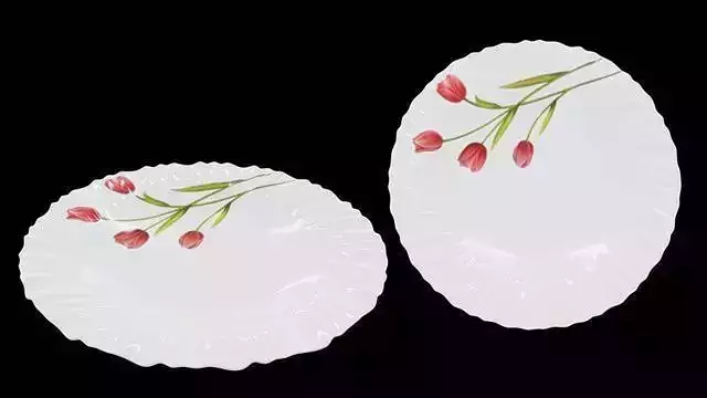 Ceramic Plate