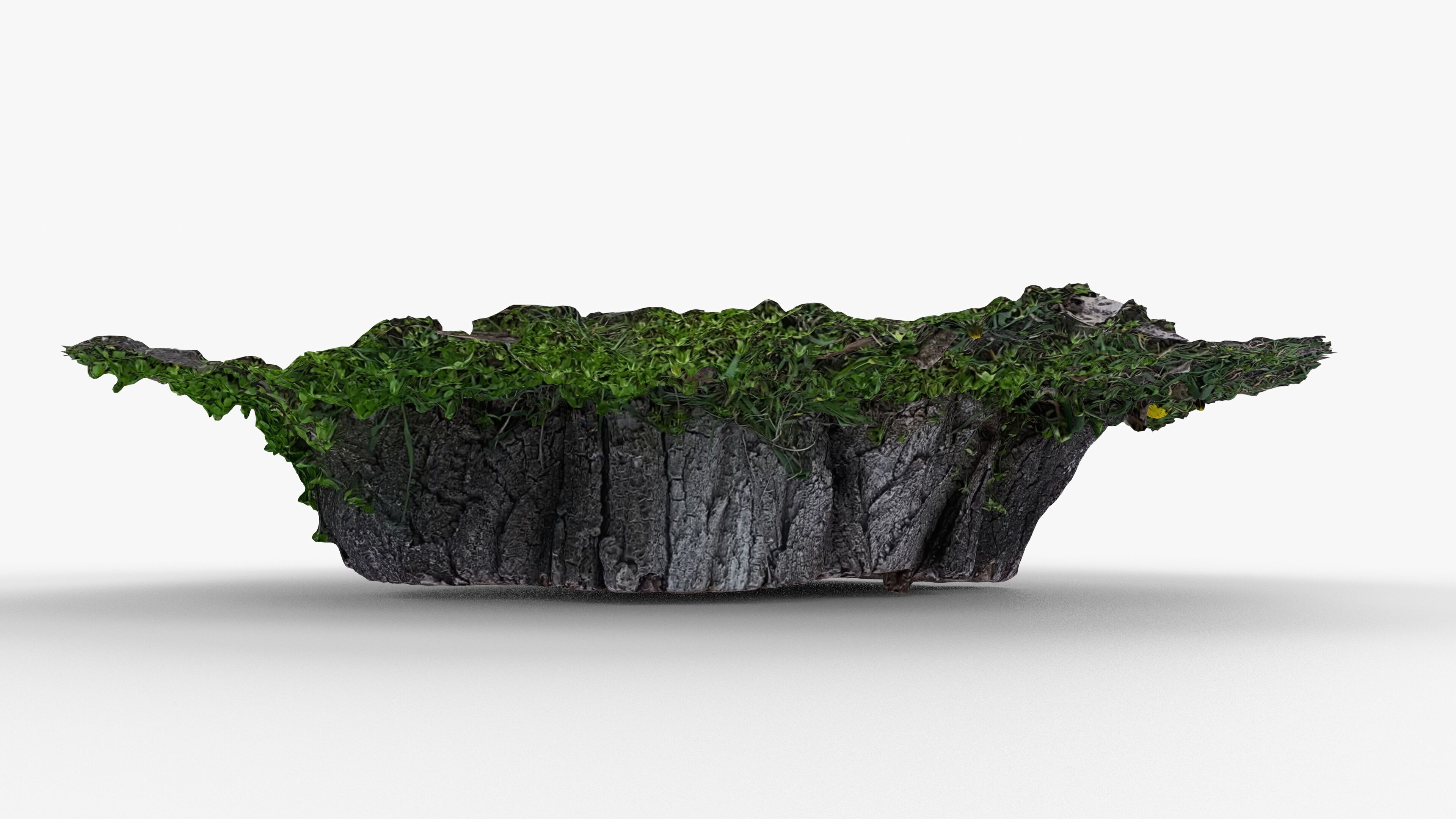 Photorealistic 3D scan of Tree Sawed wood Stump Low-poly 3D model_11