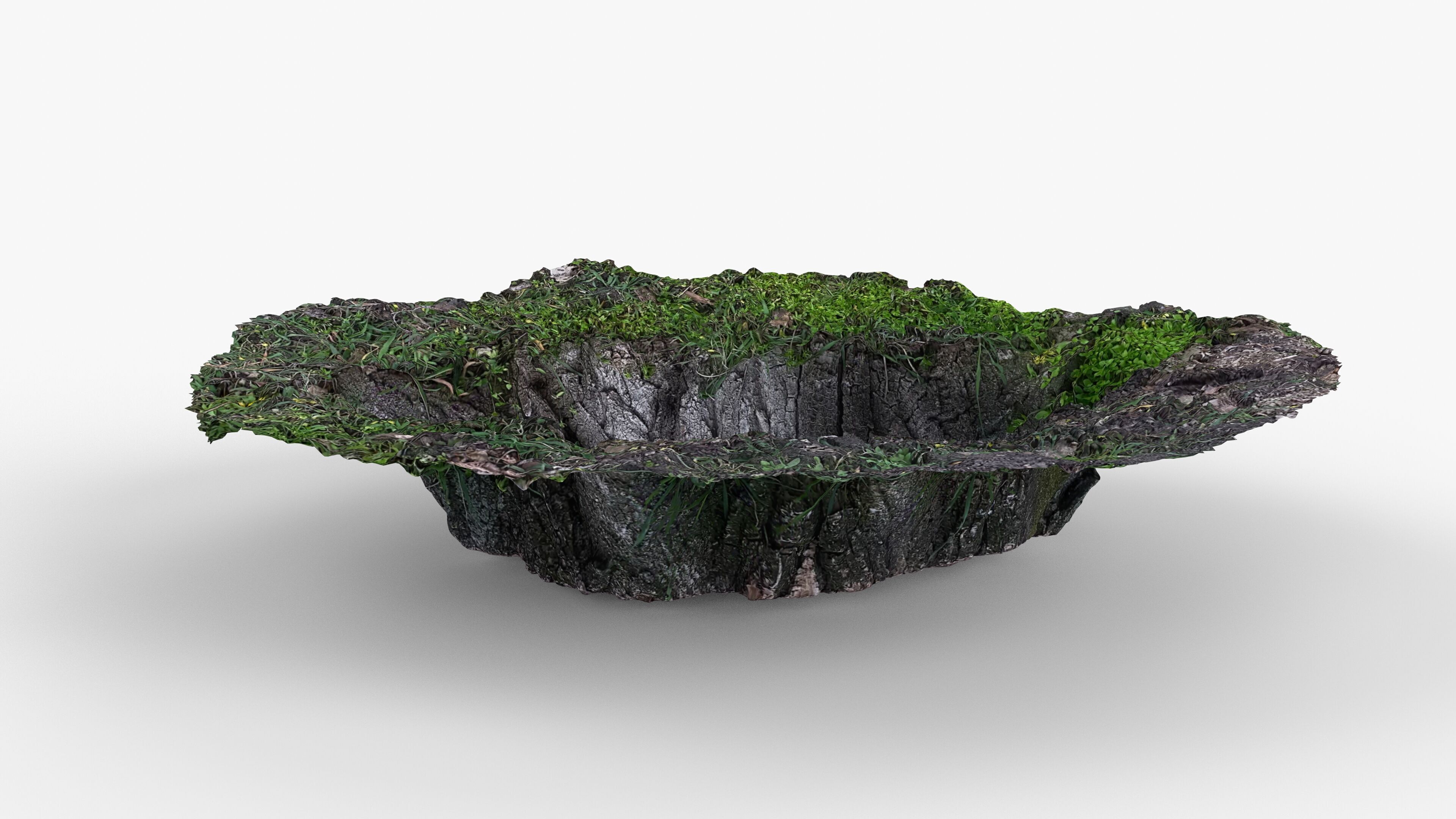 Photorealistic 3D scan of Tree Sawed wood Stump Low-poly 3D model_10