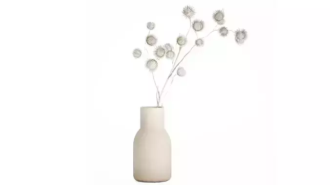 Bouquet Dried Flowers From White Branches Thistle 549