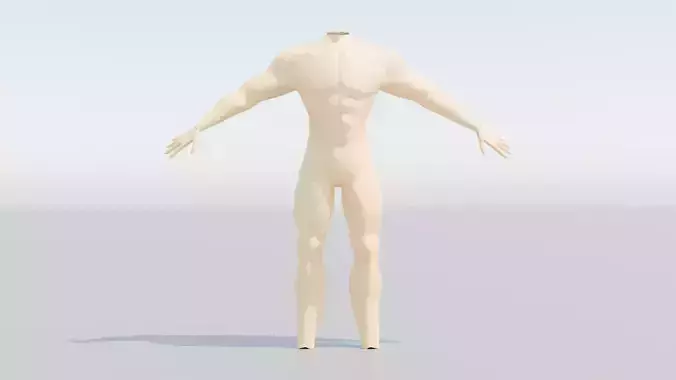 Male Body