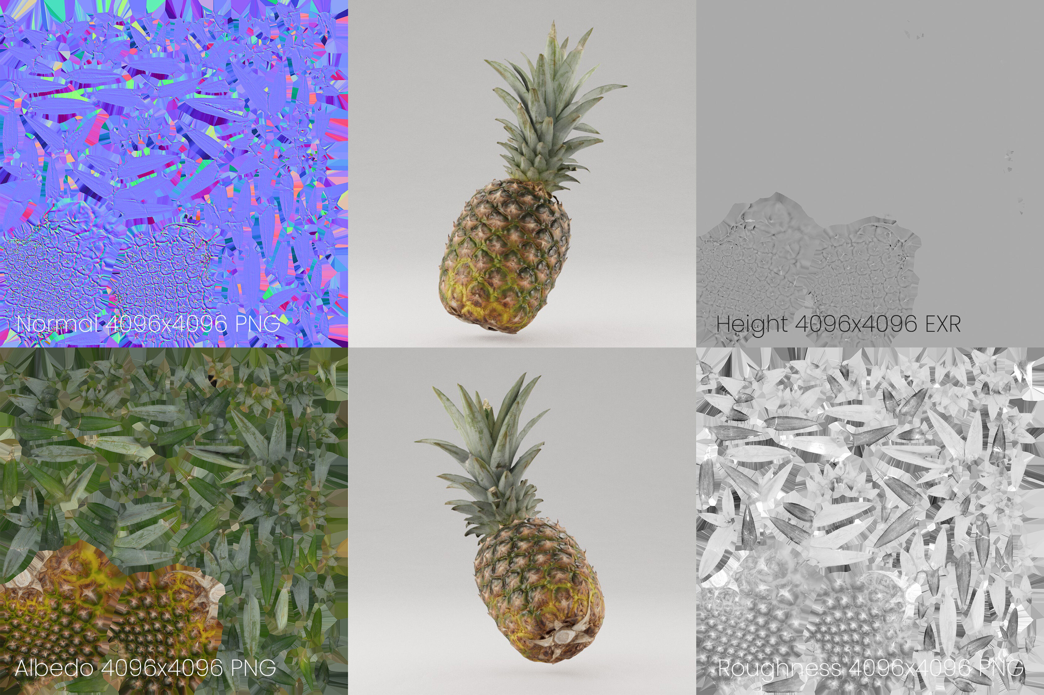 Pineapple Fruit 3D model_10