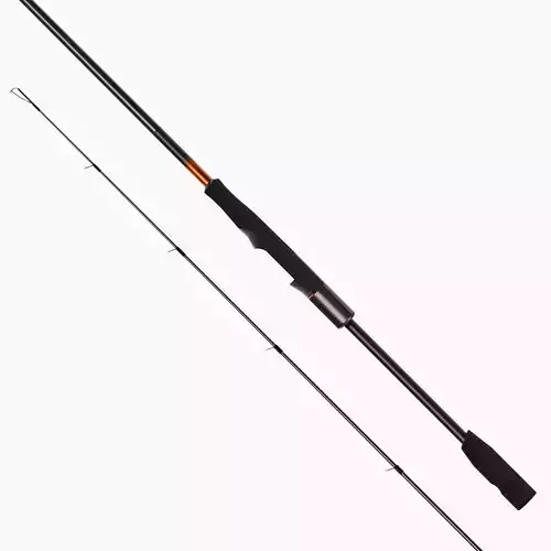 Fishing rod