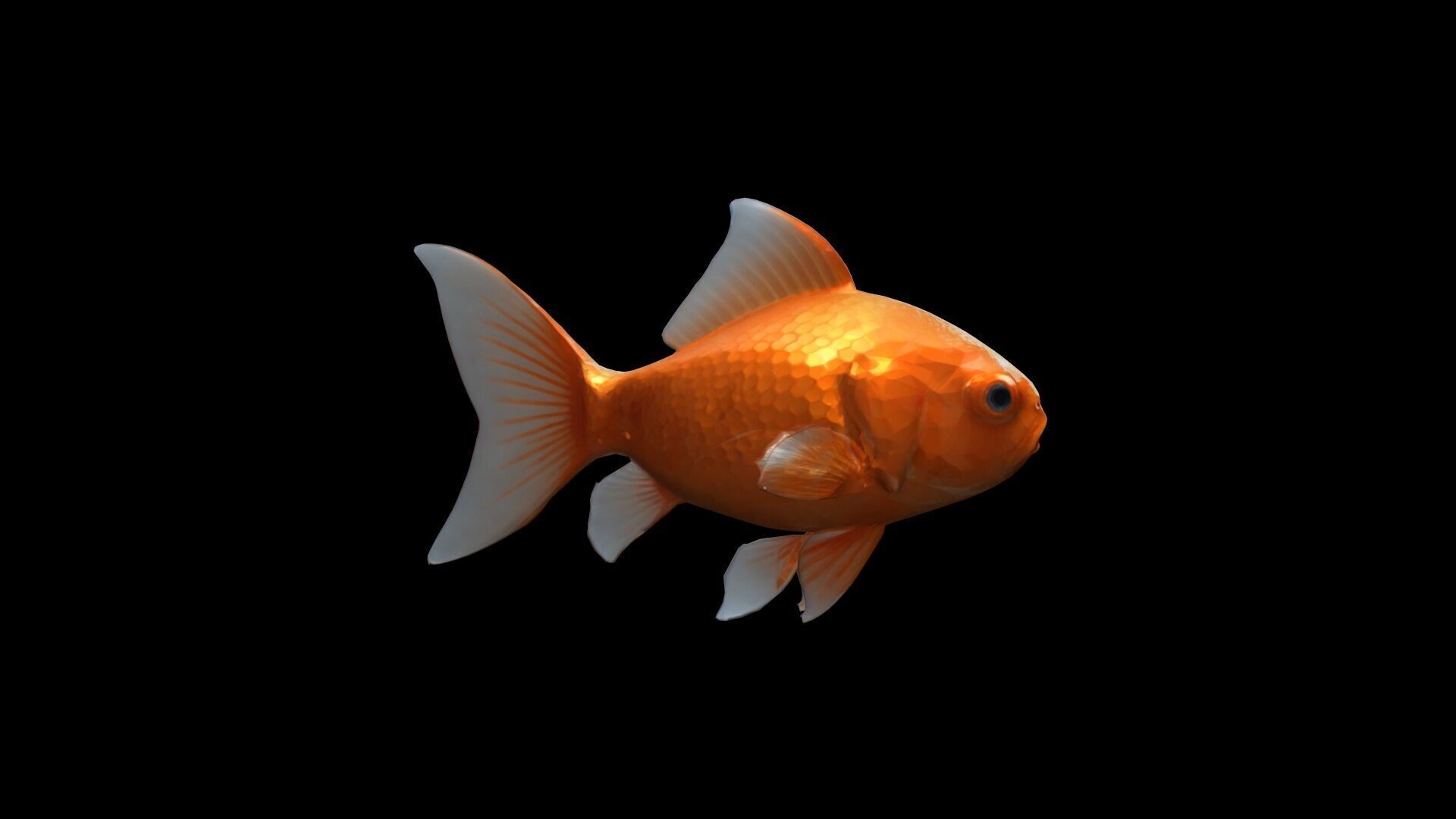 Golden Fish Watercolor Cute Animal Pet 3d Render 3D model_3
