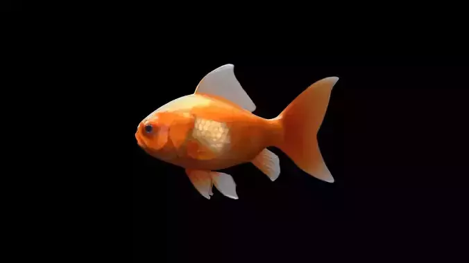 Golden Fish Watercolor  Cute Animal Pet 3d Render