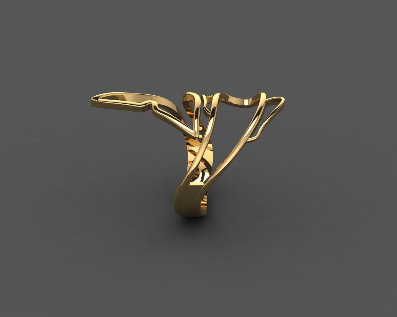 Women Ring 3D print model_2