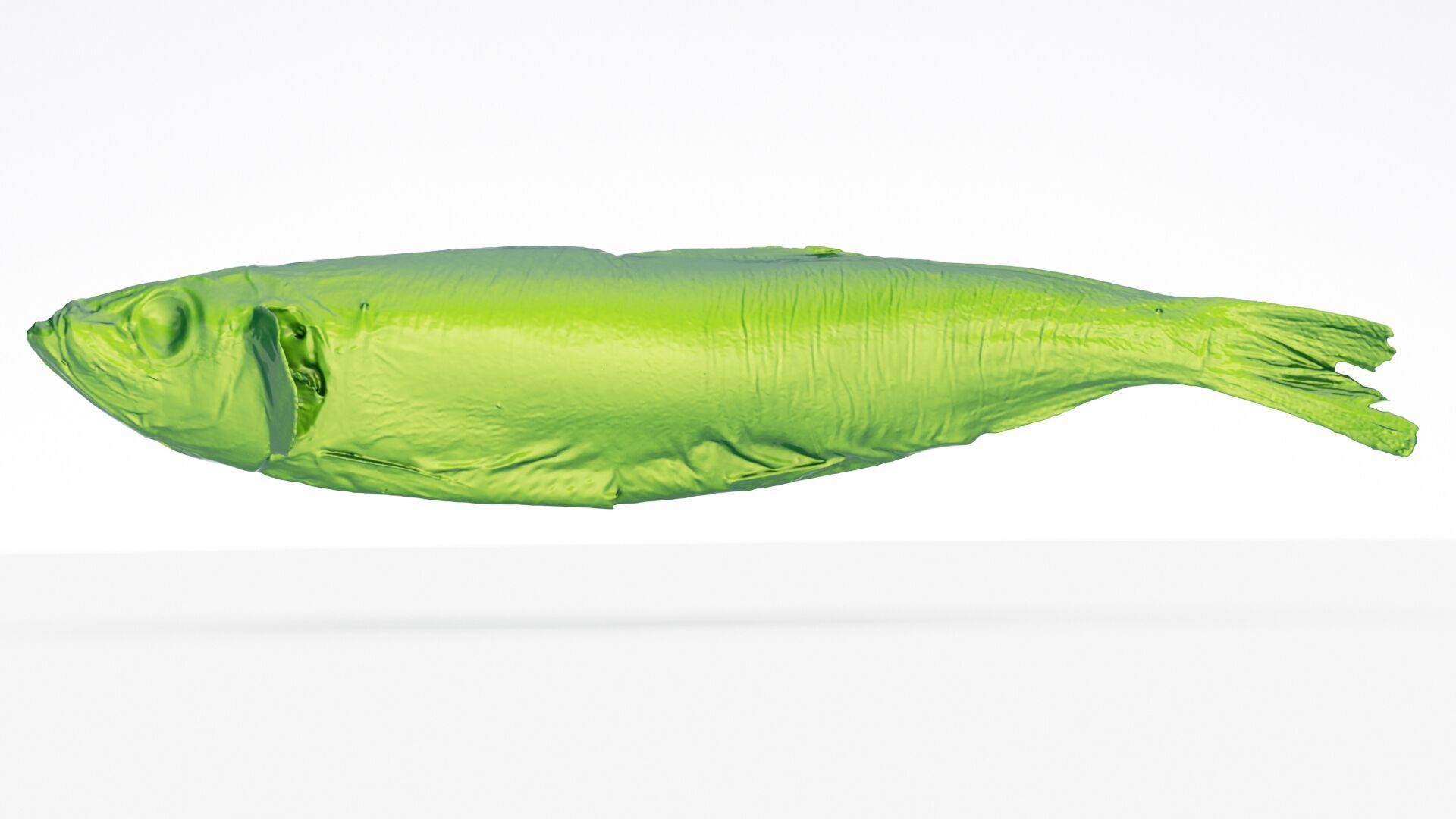 Atlantic herring 3d scan 3D model_6