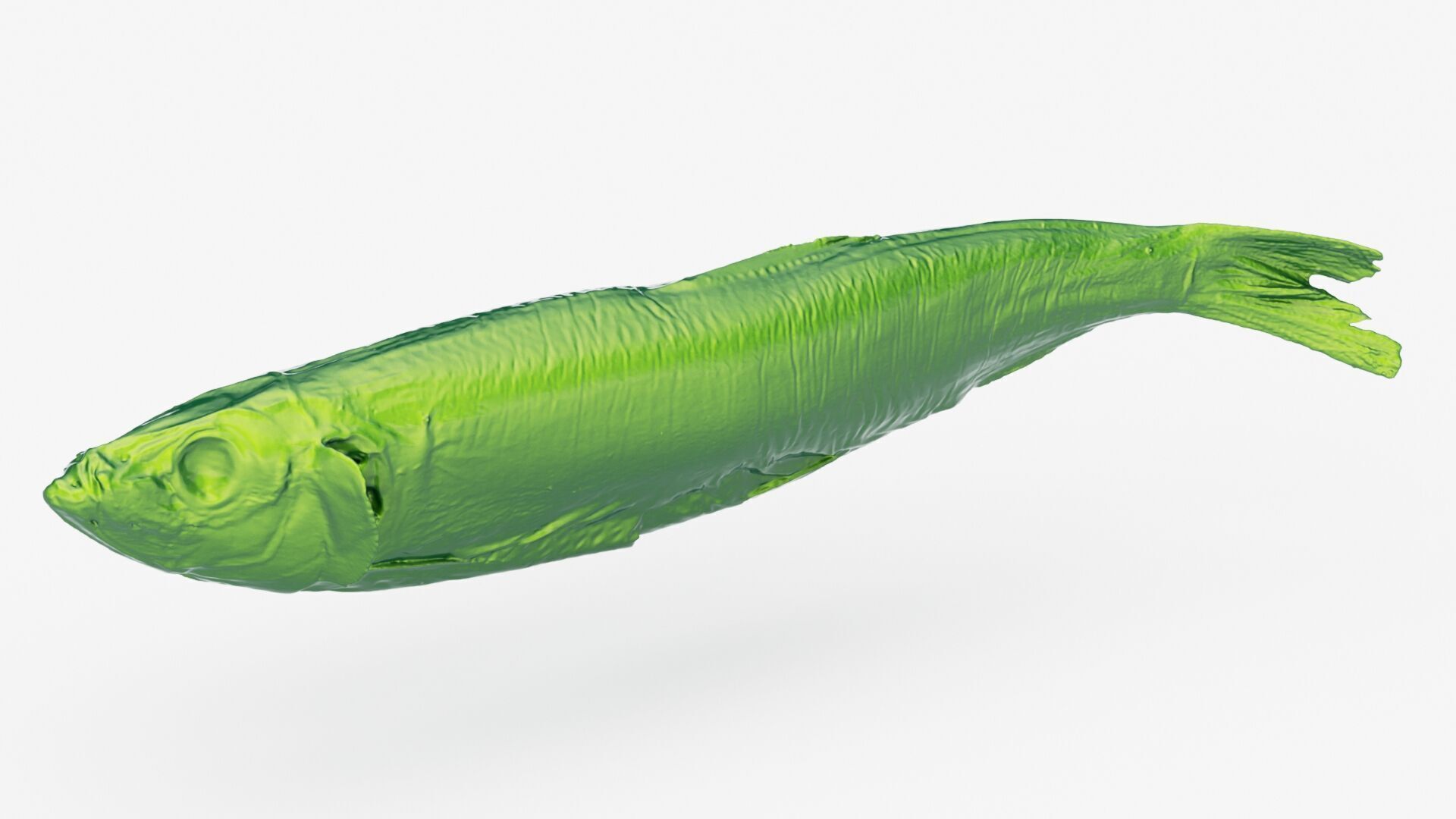 Atlantic herring 3d scan 3D model_7