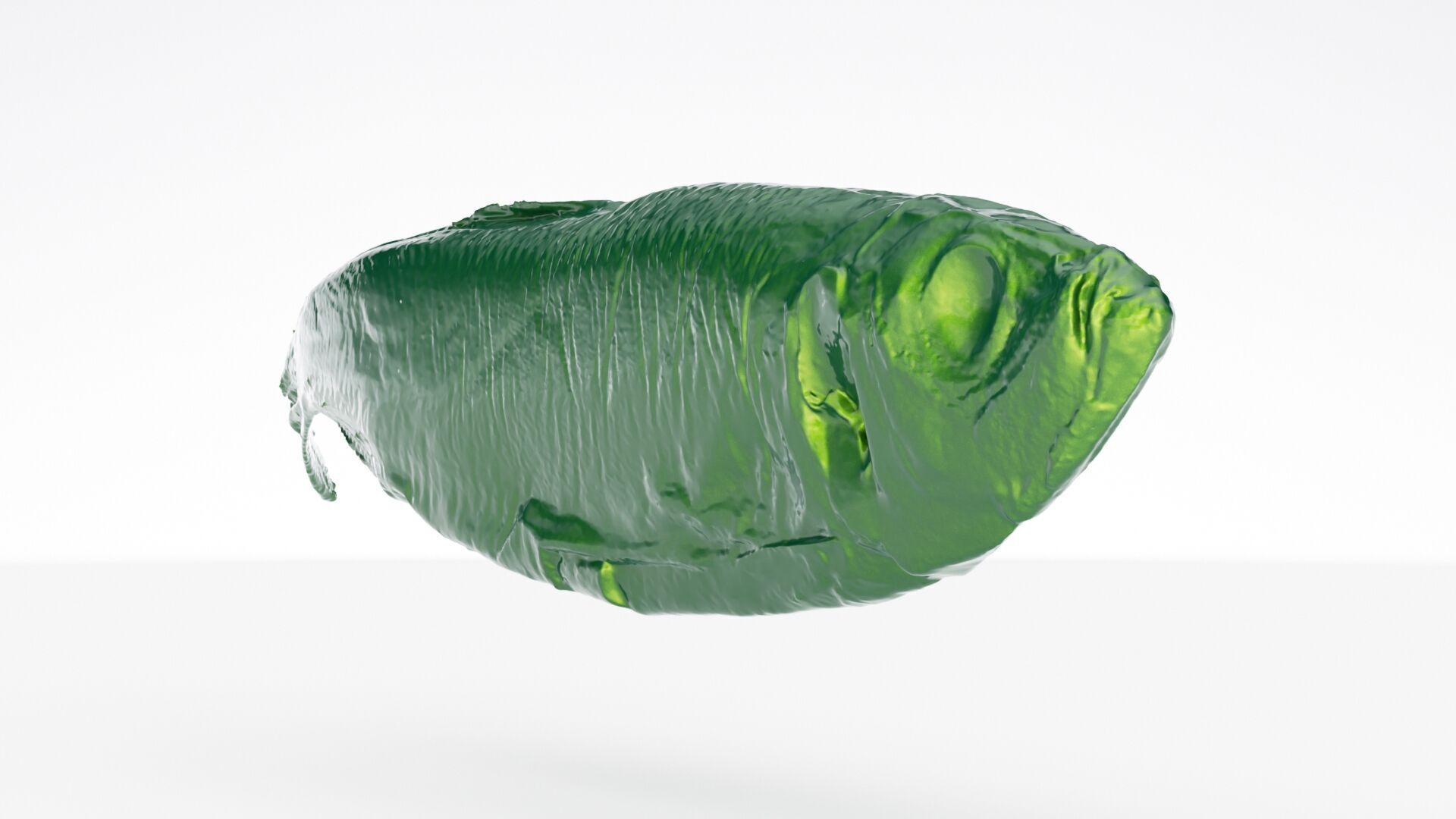 Atlantic herring 3d scan 3D model_13