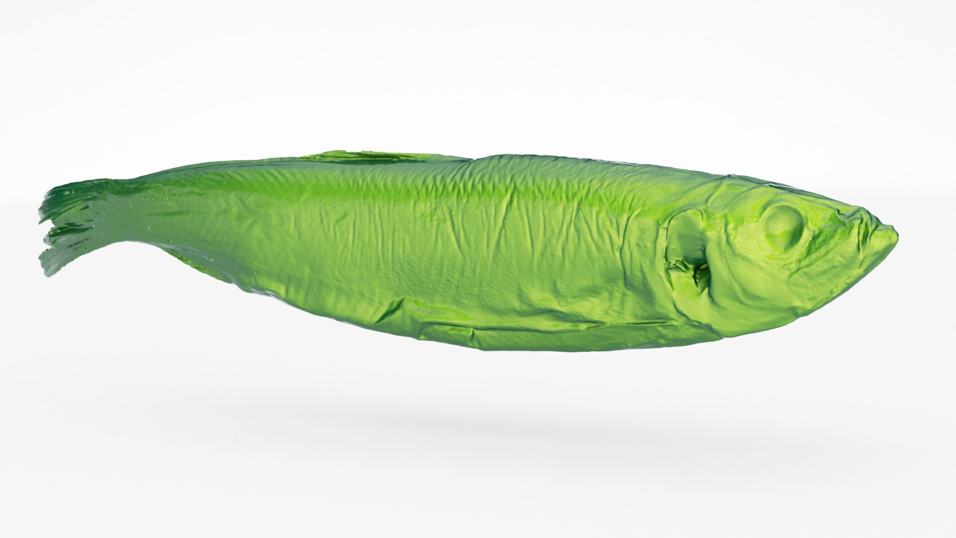 Atlantic herring 3d scan 3D model_4