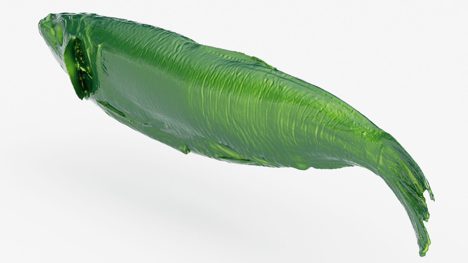 Atlantic herring 3d scan 3D model_5