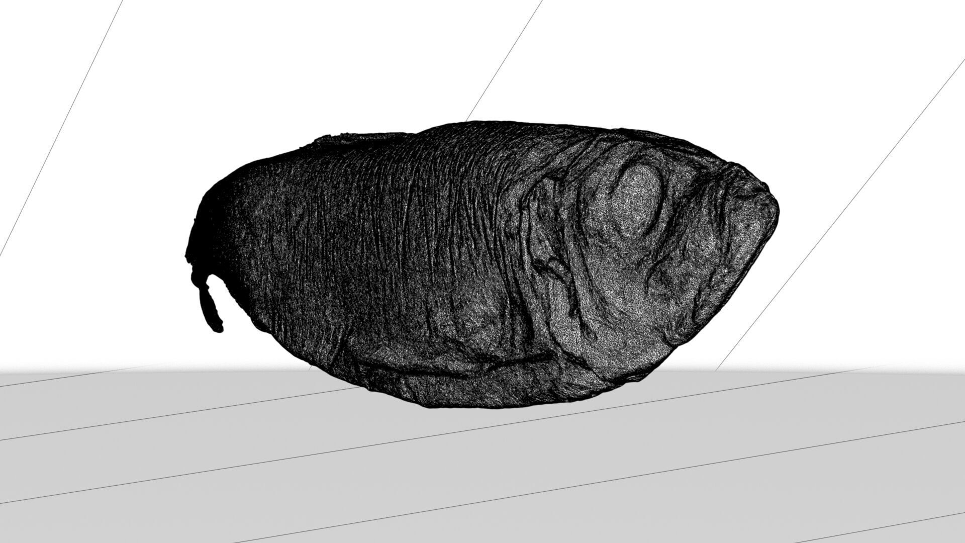 Atlantic herring 3d scan 3D model_10