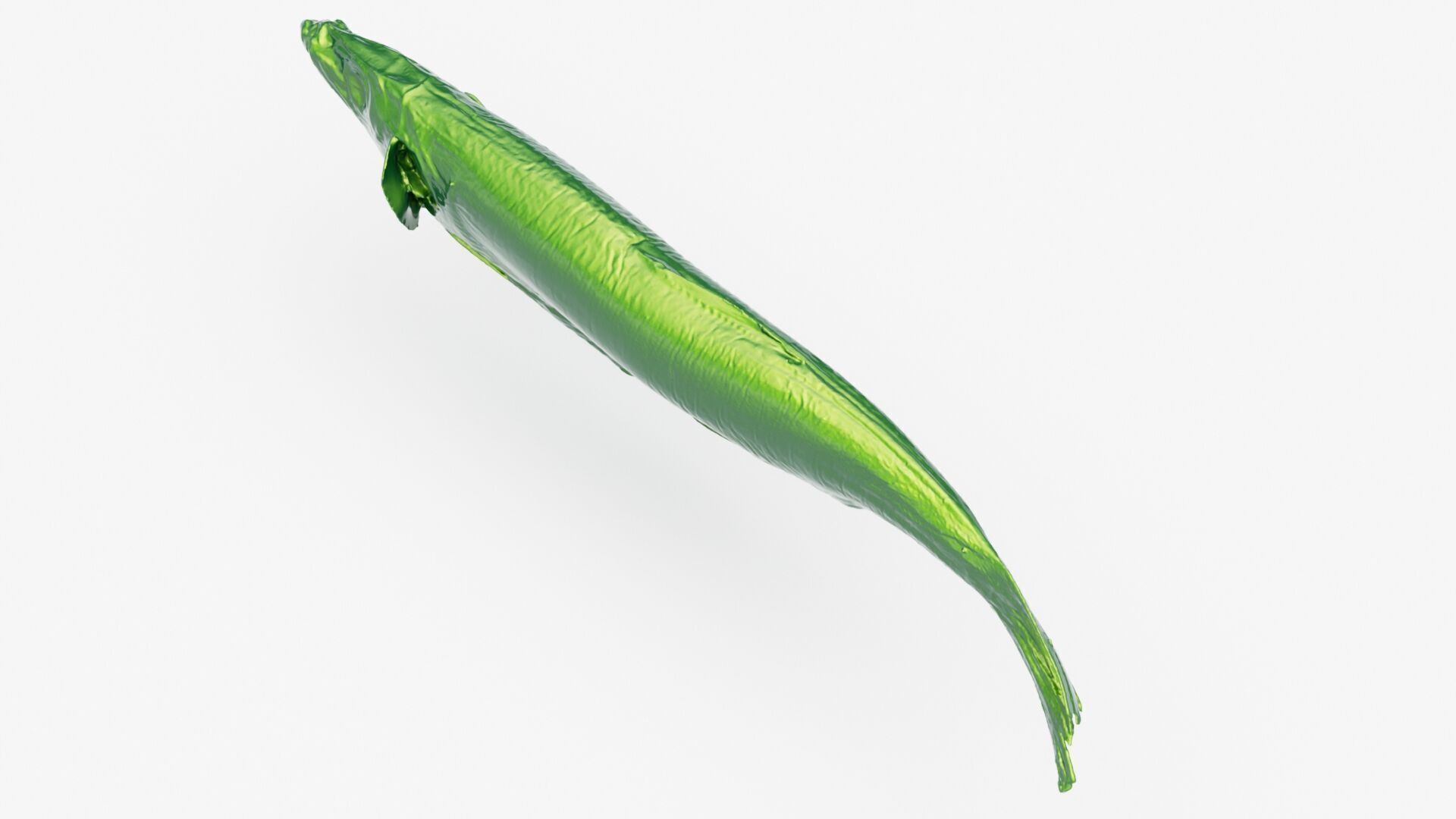 Atlantic herring 3d scan 3D model_16