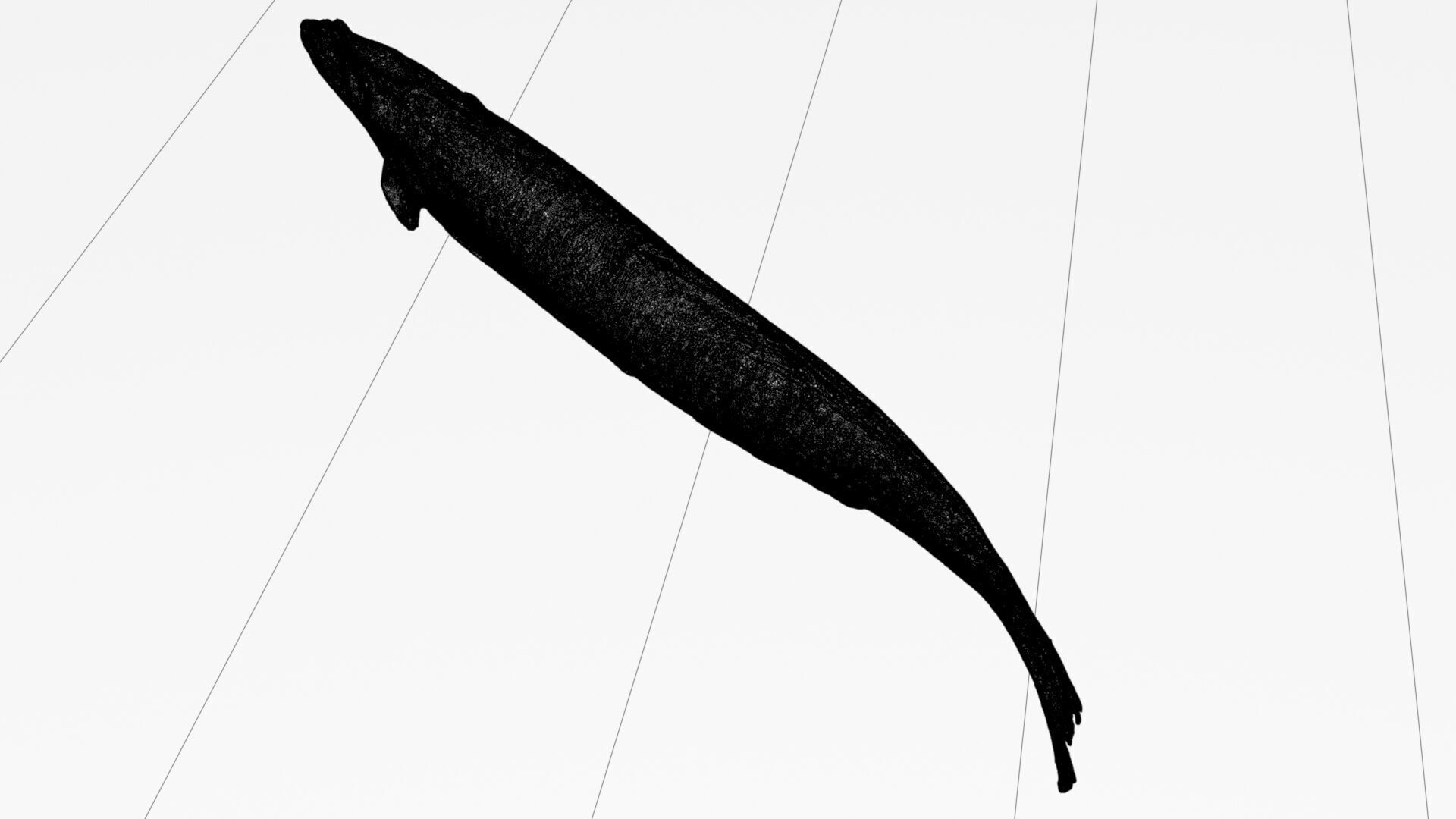 Atlantic herring 3d scan 3D model_14