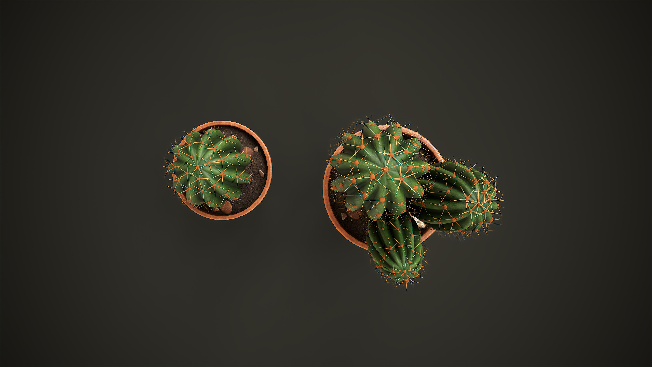 Potted Cactus Set Low-poly 3D model_5