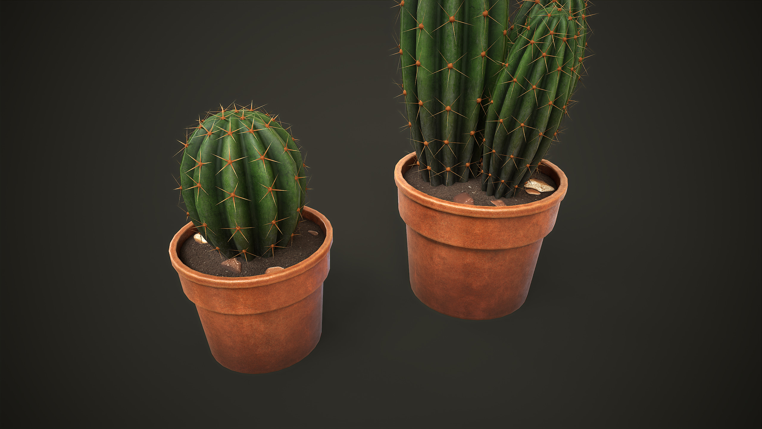 Potted Cactus Set Low-poly 3D model_2