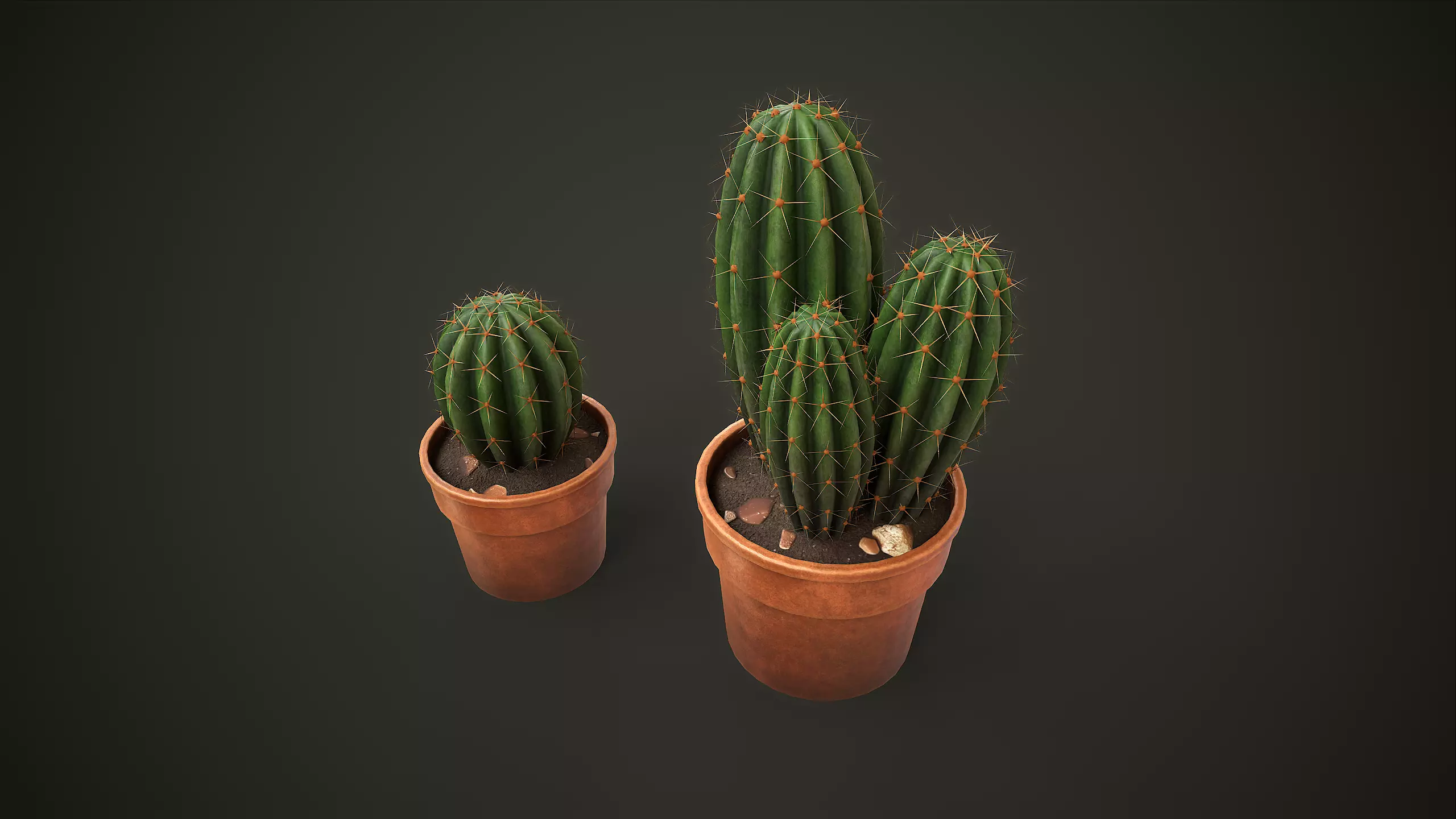 Potted Cactus Set Low-poly 3D model_0