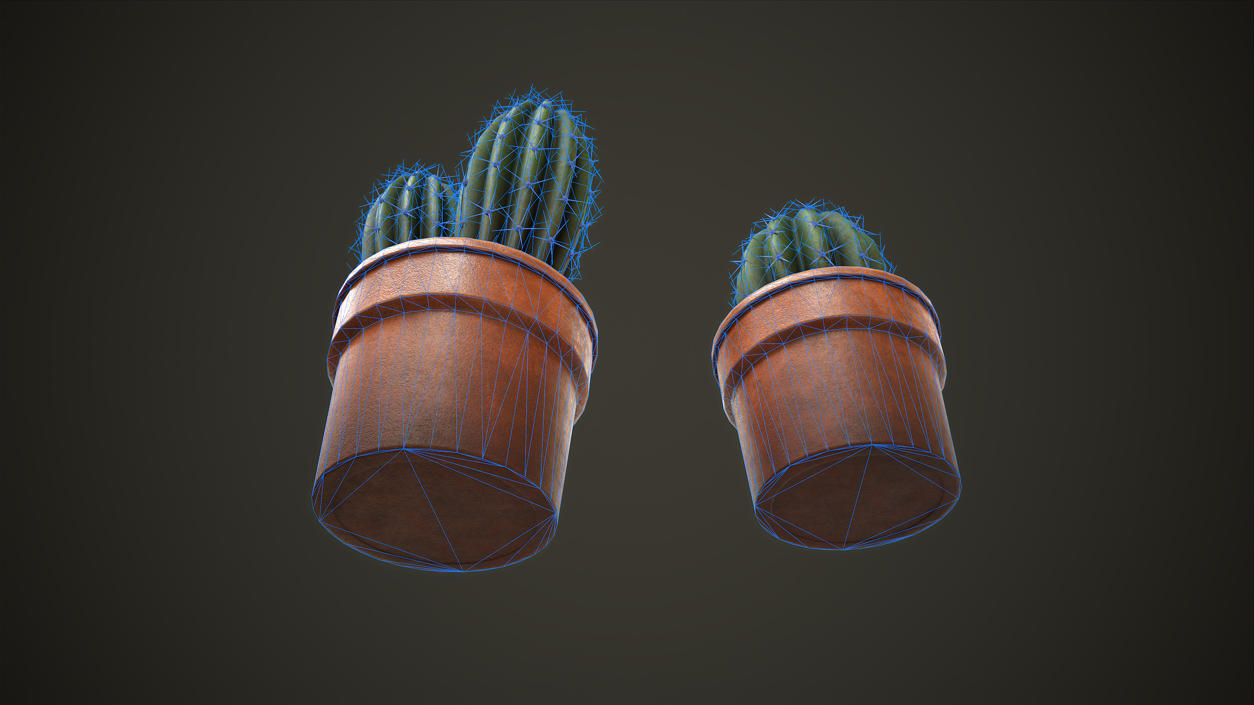 Potted Cactus Set Low-poly 3D model_7