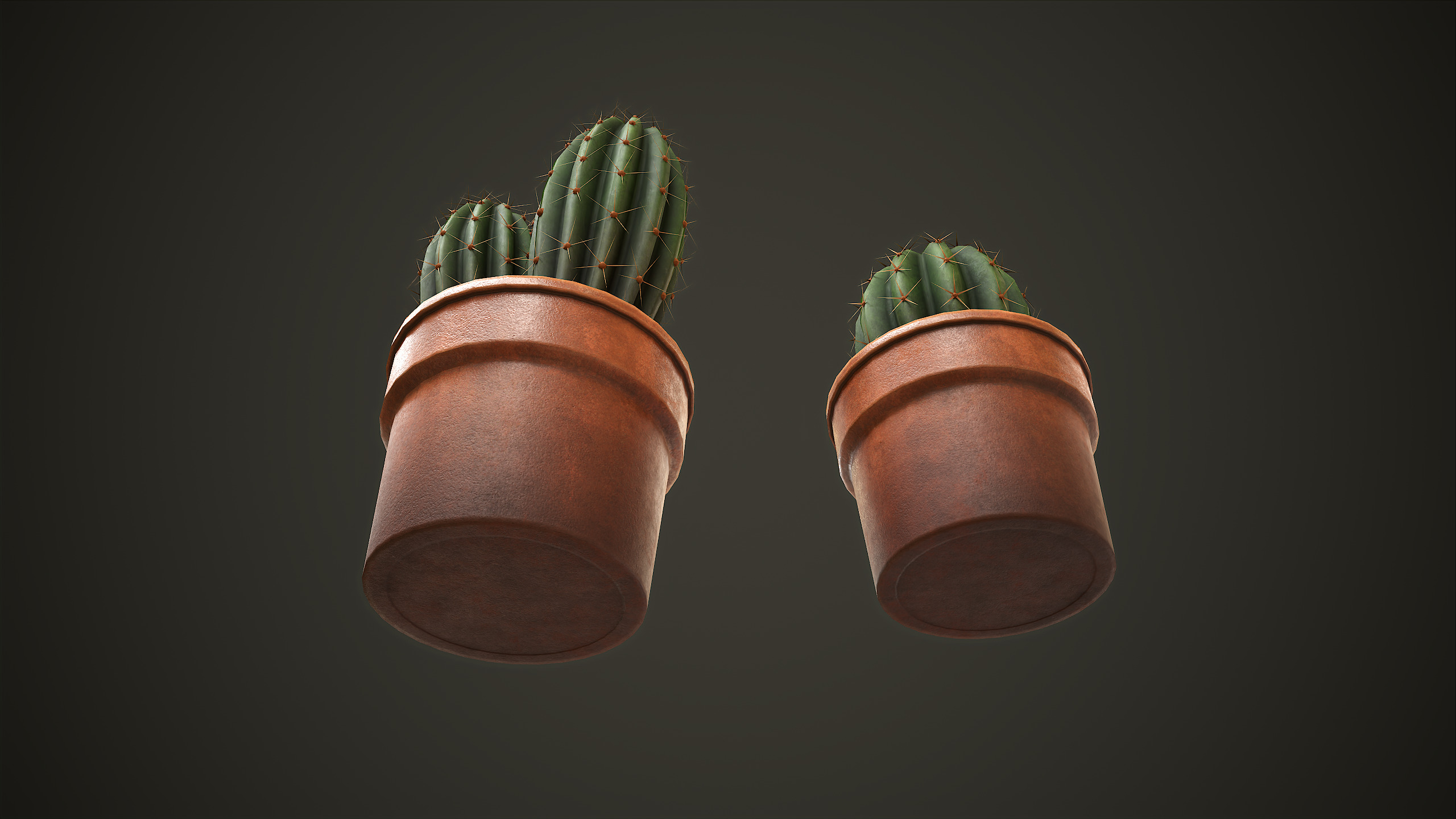 Potted Cactus Set Low-poly 3D model_6