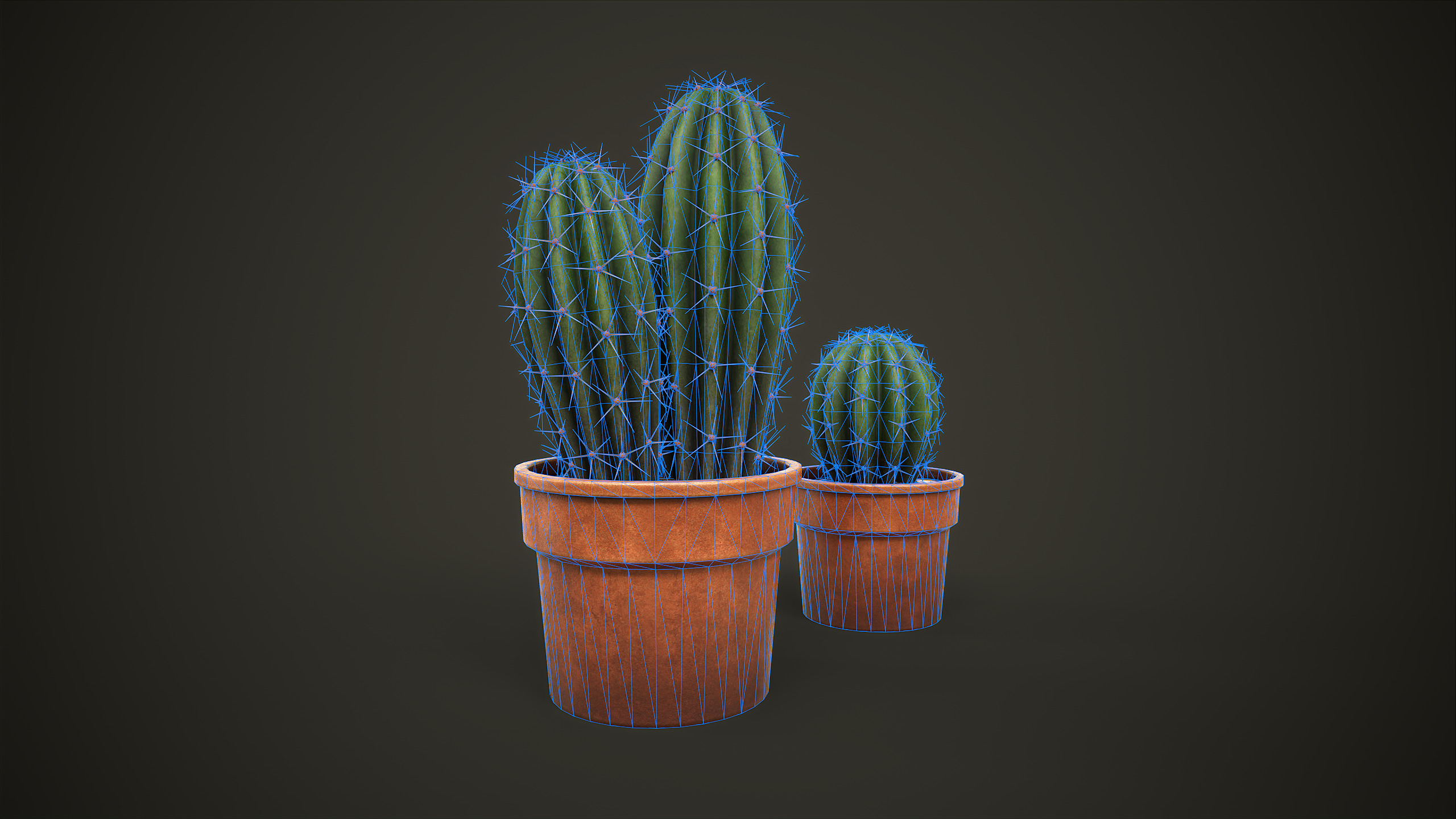 Potted Cactus Set Low-poly 3D model_8