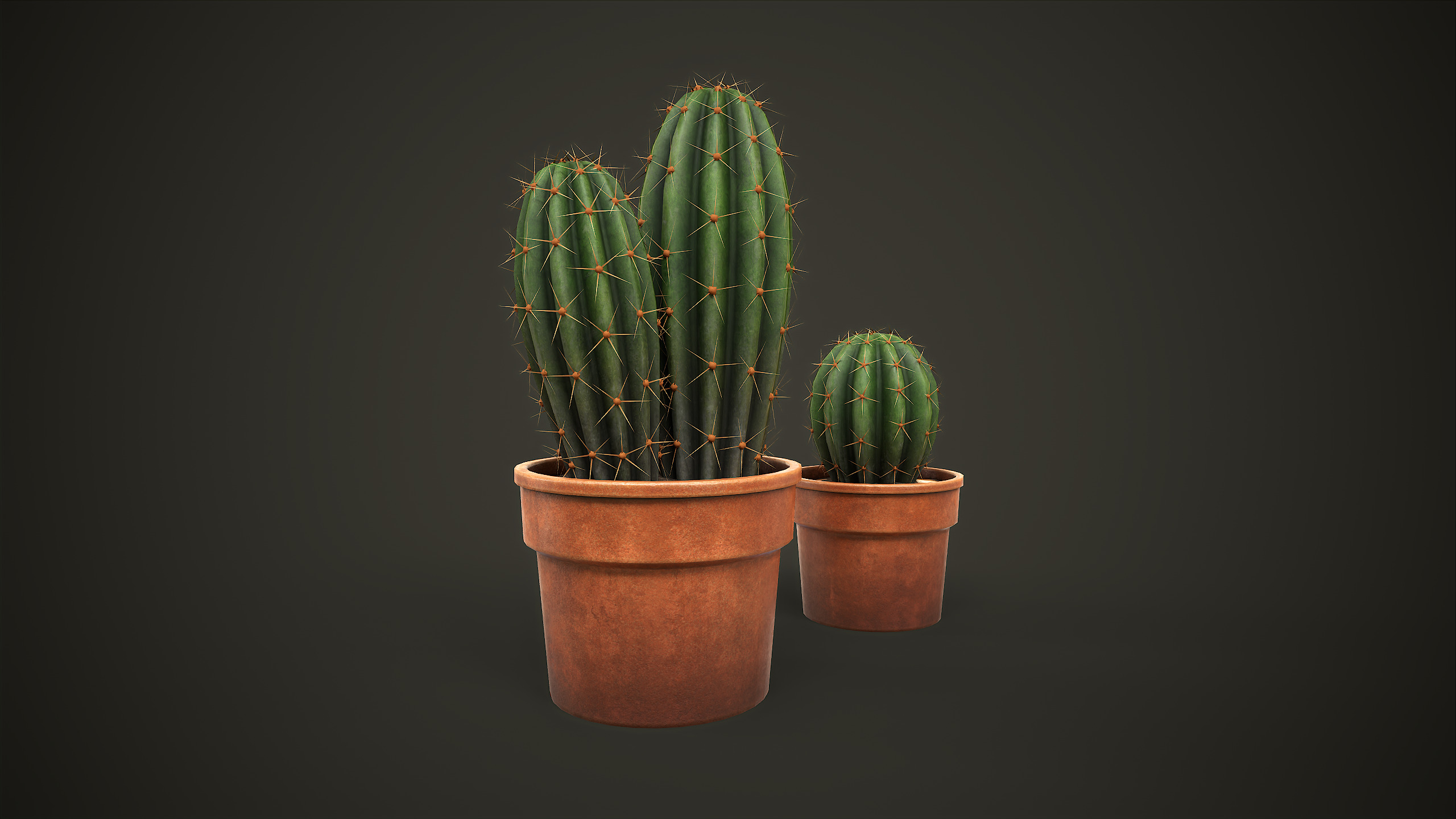 Potted Cactus Set Low-poly 3D model_3