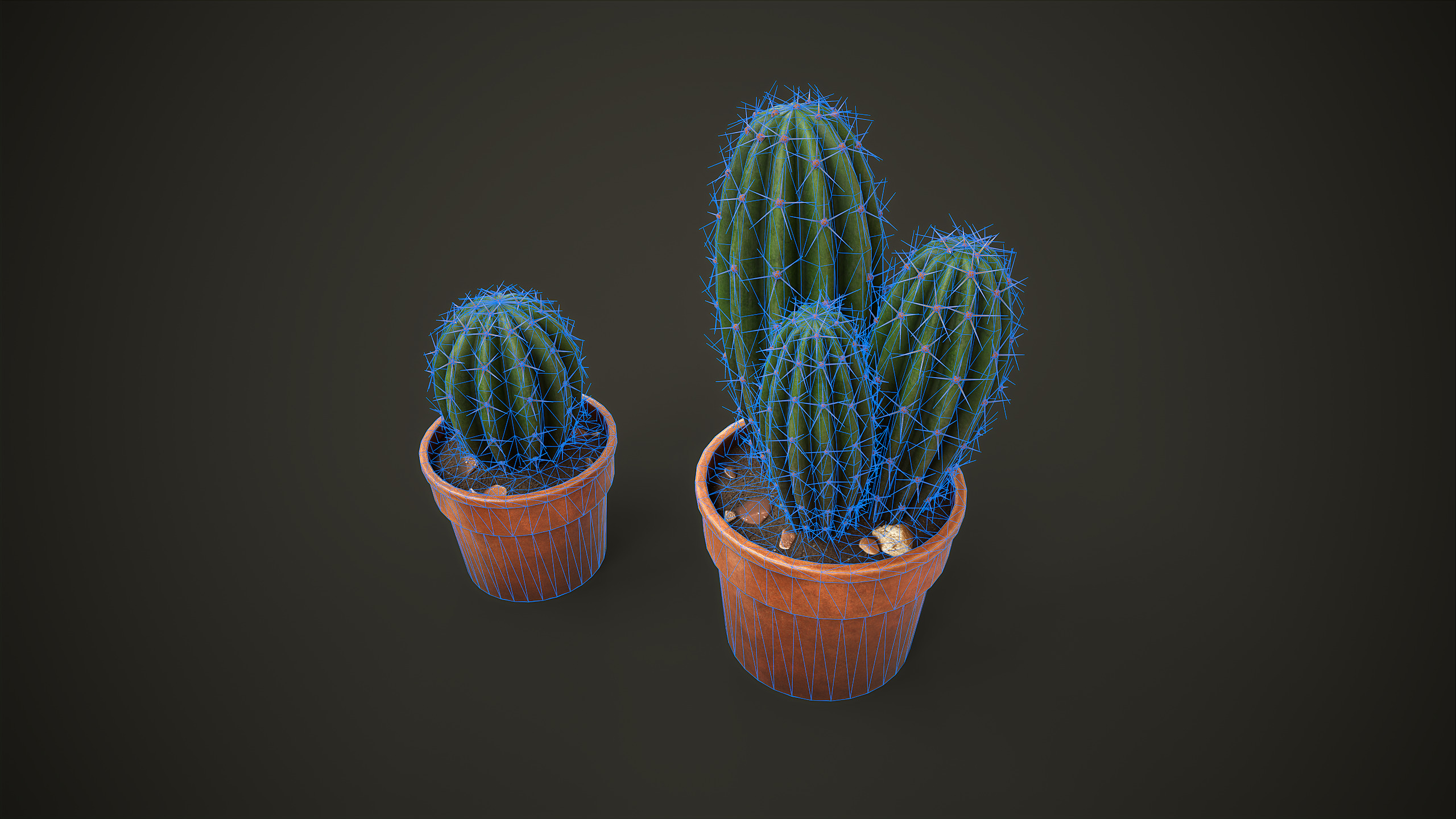 Potted Cactus Set Low-poly 3D model_9