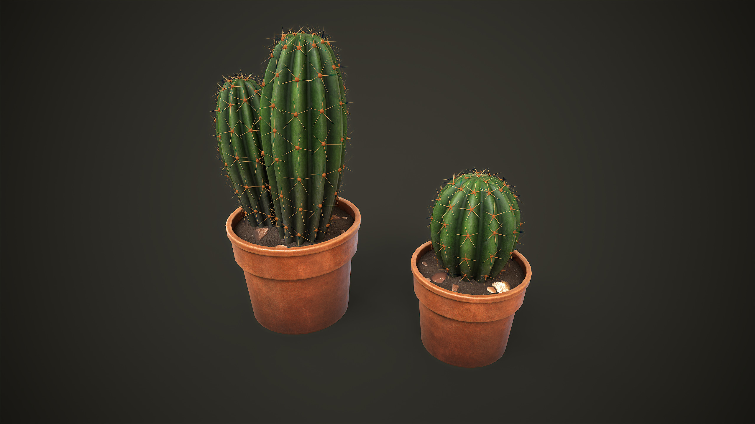 Potted Cactus Set Low-poly 3D model_4