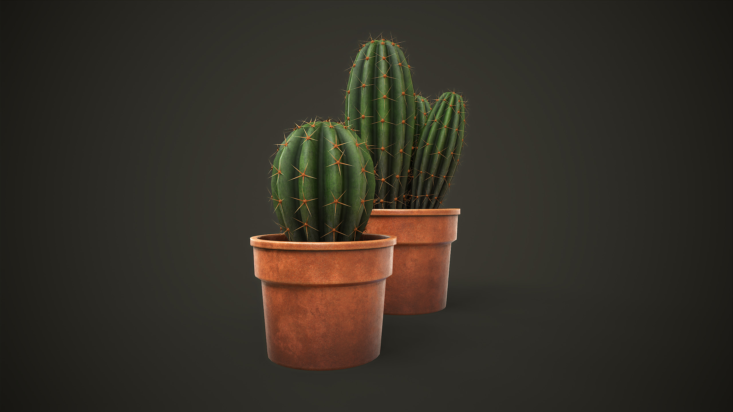 Potted Cactus Set Low-poly 3D model_1