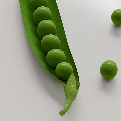 Green Peas 3D Model 3D model 5