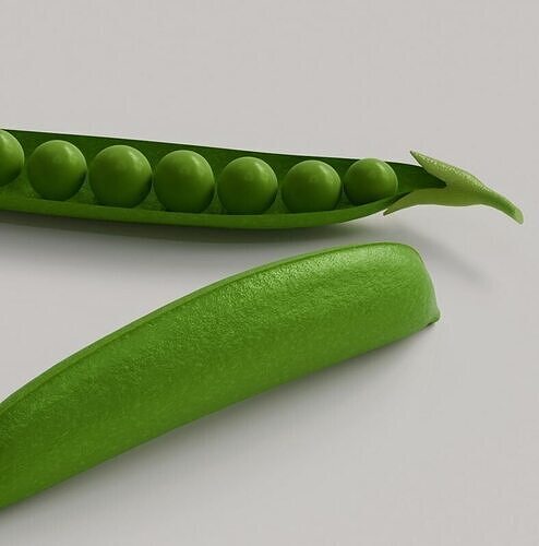 Green Peas 3D Model 3D model 7
