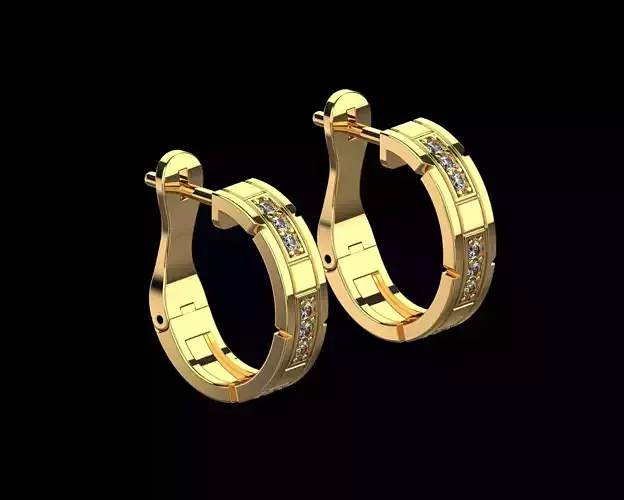 Cartier Earrings N234
