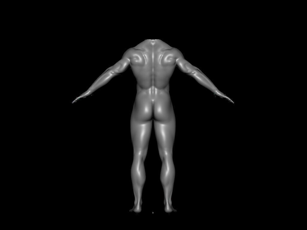 Human body 3D model_2