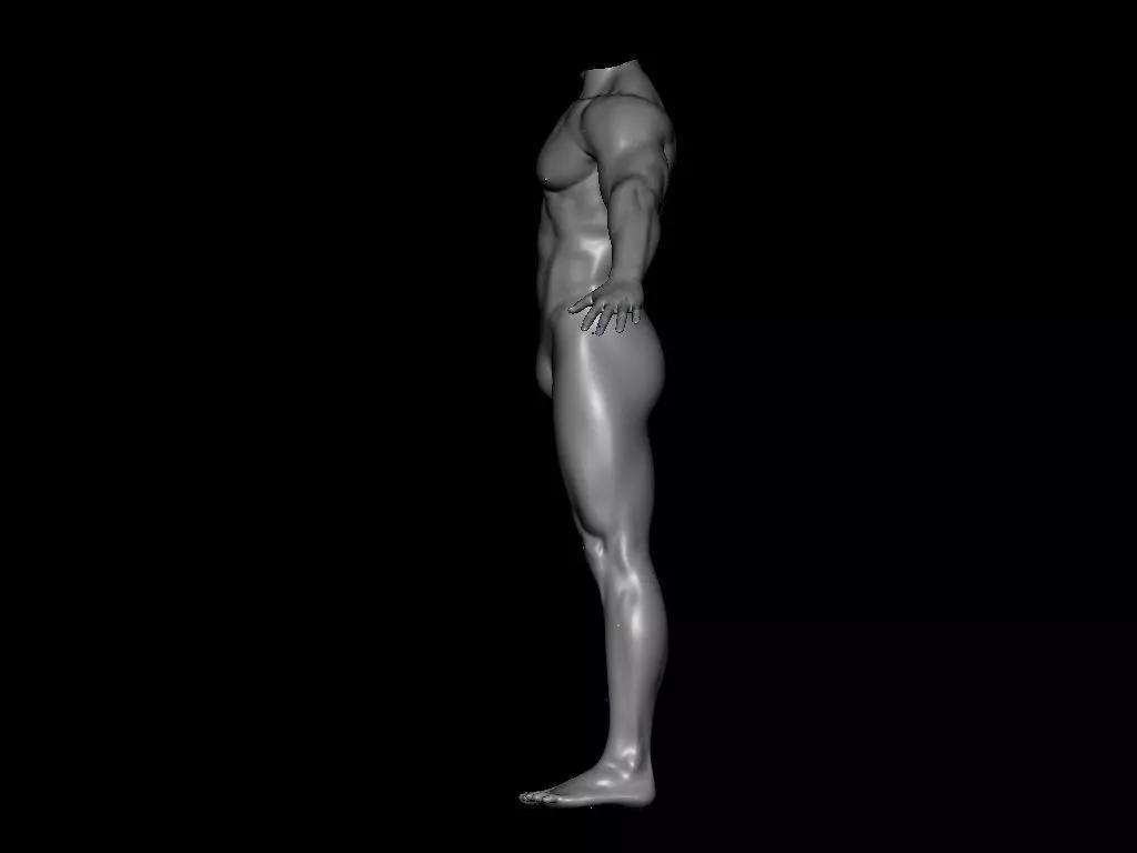Human body 3D model_0