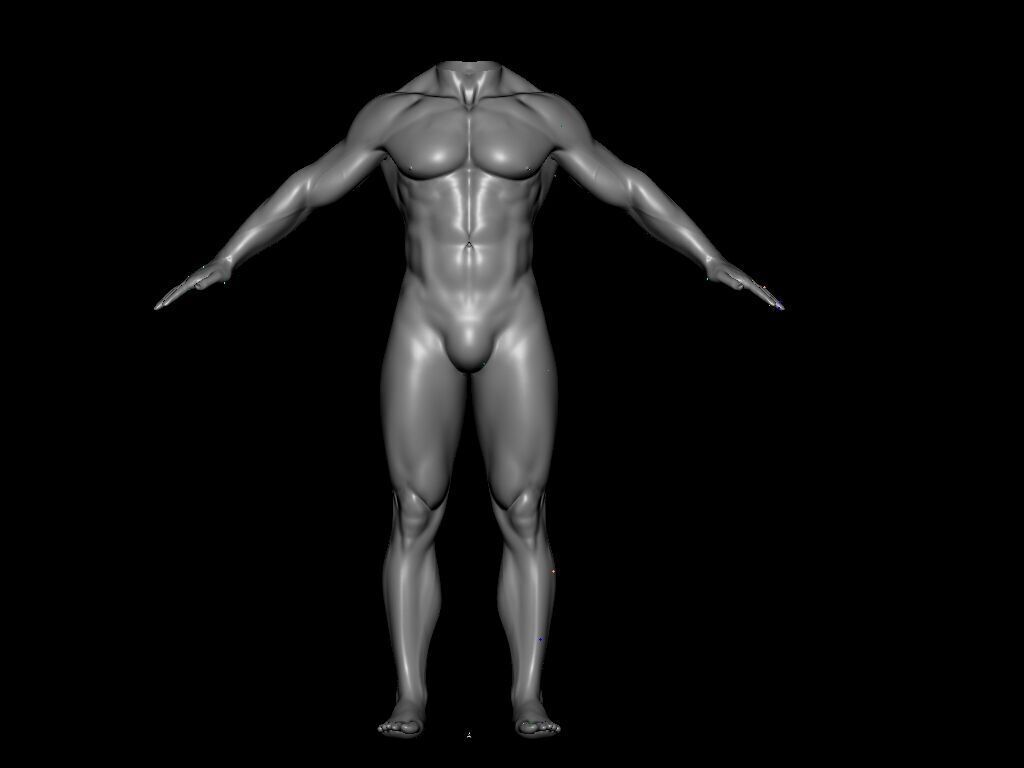 Human body 3D model_1