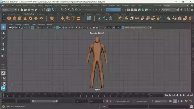 Full Human Male Body