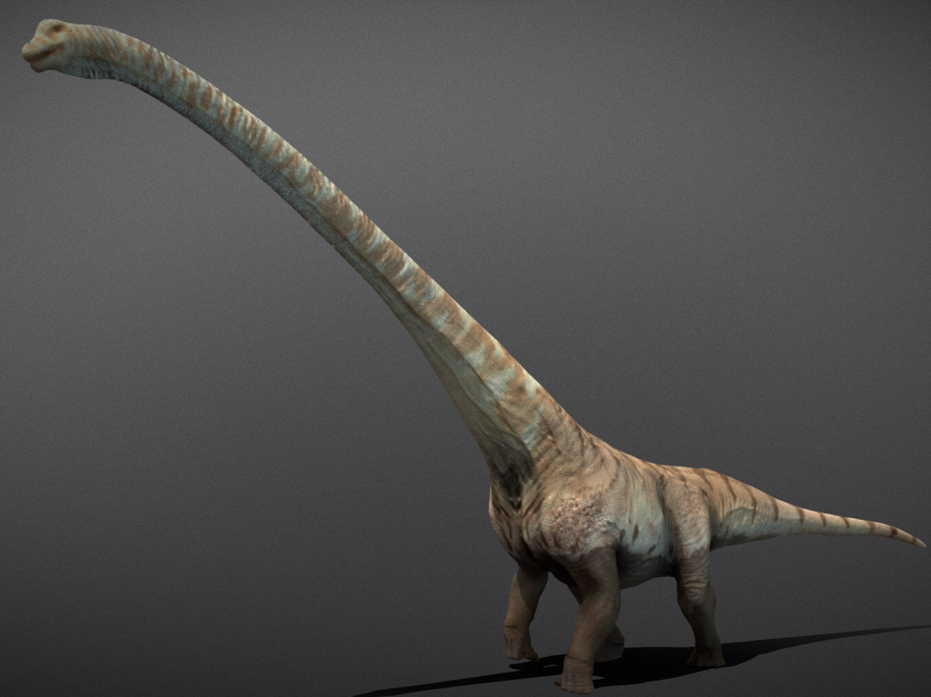 Mamenchisaurus  Low-poly 3D model_1