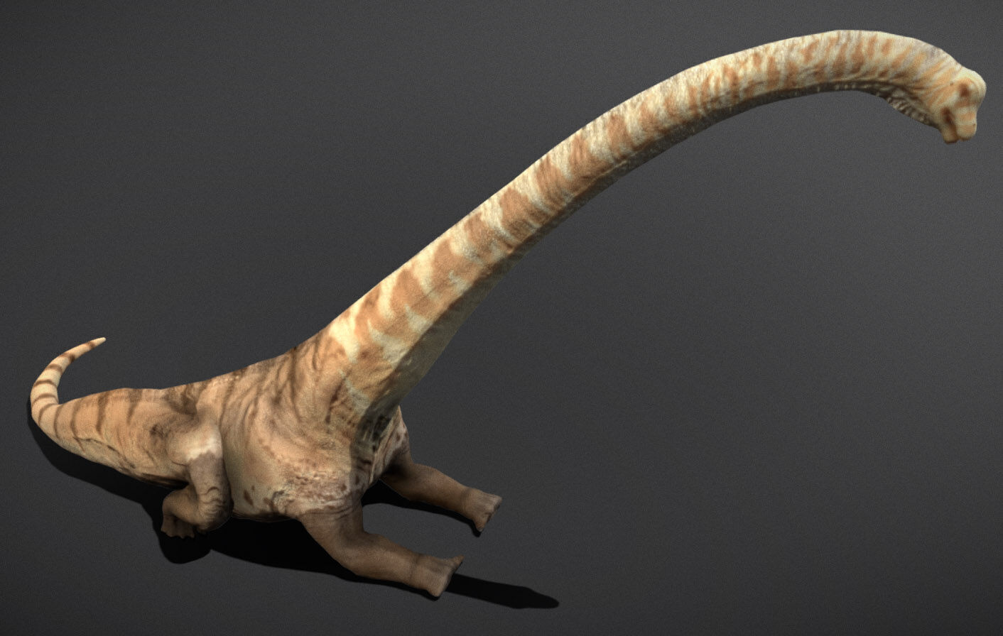 Mamenchisaurus  Low-poly 3D model_6