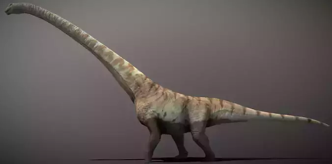 Mamenchisaurus  Low-poly 3D model