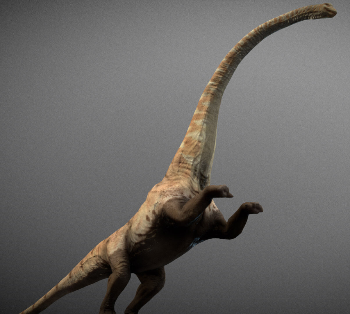 Mamenchisaurus  Low-poly 3D model_3