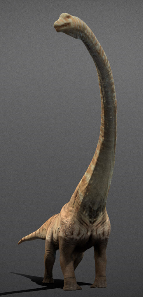 Mamenchisaurus  Low-poly 3D model_5