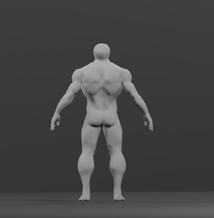 Human Body Model 3D model_2