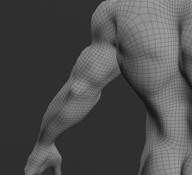 Human Body Model 3D model_4