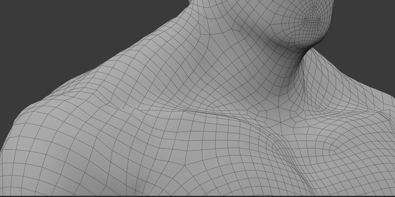 Human Body Model 3D model_3