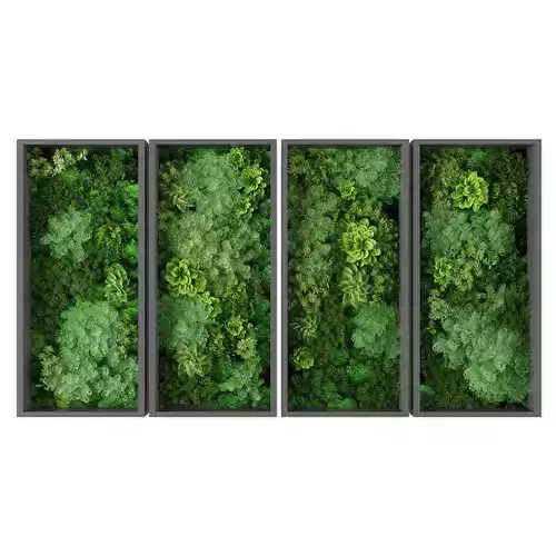 Vertical garden 255